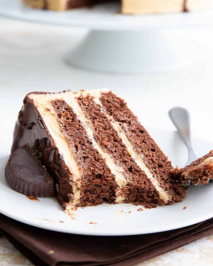 Delicious Keto Peanut Butter Chocolate Protein Cake