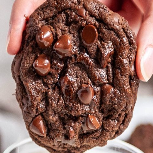 Double Chocolate Chip Cookies