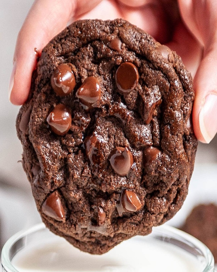 Double Chocolate Chip Cookies